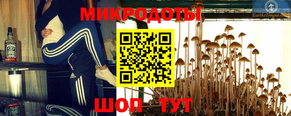 Протвино  Галлюциногенные грибы Magic Shrooms  Вход с VPN 